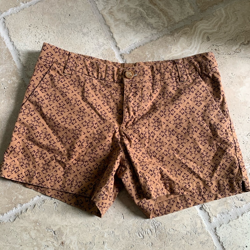 Patagonia Shorts